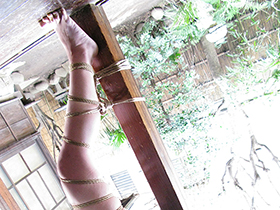 乱　らんまい　舞’09-2　サンプル画像13